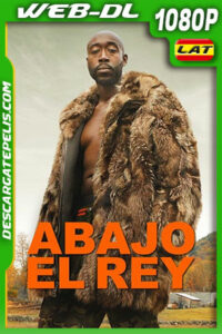 Abajo el Rey (2021) 1080p WEB-DL Latino