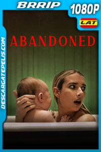 Desamparados (2022) 1080p BRRip Latino