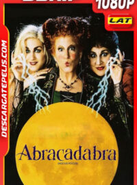 Abracadabra (1993) 1080p BDrip Latino
