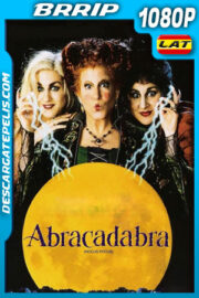 Abracadabra (1993) 1080p BRrip Latino