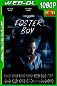 Abuso de poder (2019) 1080p WEB-DL