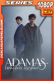 Adamas: Diamante asesino Temporada 1 (2022) 1080p WEB-DL Latino