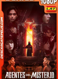 Agentes del misterio Temporada 1 (2024) 1080p WEB-DL Latino