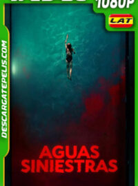 Aguas siniestras (2024) 1080p WEB-DL Latino
