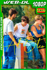 Al óleo (2019) 1080p WEB-DL AMZN