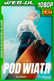 Al viento (2022) 1080p WEB-DL Latino