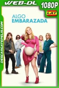 Algo embarazada (2025) 1080p WEB-DL Latino