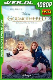 Amadrinhada (2020) 1080p WEB-DL Latino