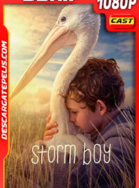 Amigos para siempre (2019) 1080p BDRip