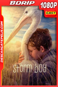 Amigos para siempre (2019) 1080p BDRip