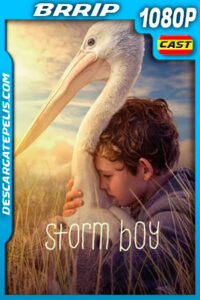 Amigos para siempre (2019) 1080p BRRip