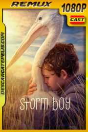 Amigos para siempre (2019) 1080p Remux