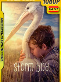 Amigos para siempre (2019) 1080p Remux