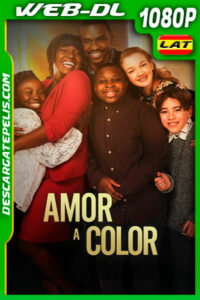 Amor a Color (2021) 1080p WEB-DL AMZN Latino