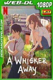 Amor de gata (2020) 1080p WEB-DL Latino – Ingles – Japones