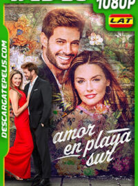 Amor En Playa Sur (2021) 1080p WEB-DL Latino