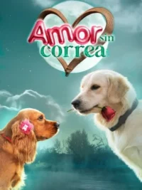 Amor Sin Correa (2023) Latino