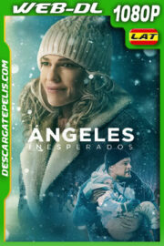 Ángeles Inesperados (2024) 1080p WEB-DL Latino