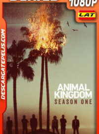 Animal Kingdom Temporada 1 (2016) 1080p WEB-DL Latino