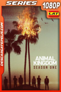 Animal Kingdom Temporada 1 (2016) 1080p WEB-DL Latino