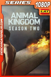 Animal Kingdom Temporada 2 (2017) 1080p WEB-DL Latino
