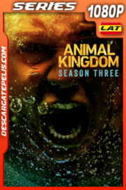 Animal Kingdom Temporada 3 (2018) 1080p WEB-DL Latino