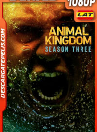Animal Kingdom Temporada 3 (2018) 1080p WEB-DL Latino