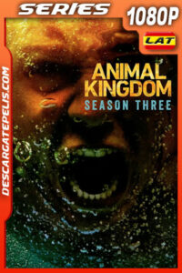 Animal Kingdom Temporada 3 (2018) 1080p WEB-DL Latino