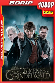 Animales fantásticos: Los crímenes de Grindelwald (2018) 1080p BDrip Latino