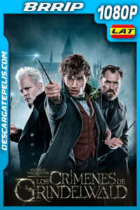 Animales fantásticos: Los crímenes de Grindelwald (2018) 1080p BRrip Latino