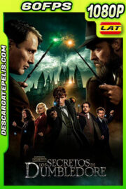 Animales fantásticos: Los secretos de Dumbledore (2022) 1080p 60FPS WEB-DL Latino