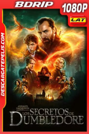 Animales fantásticos: Los secretos de Dumbledore (2022) 1080p BDRip Latino