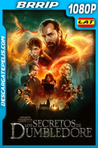 Animales fantásticos: Los secretos de Dumbledore (2022) 1080p BRRip Latino