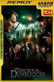 Animales fantásticos: Los secretos de Dumbledore (2022) 1080p Remux Latino
