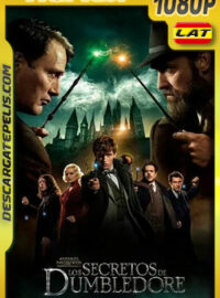 Animales fantásticos: Los secretos de Dumbledore (2022) 1080p Remux Latino