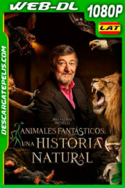Animales Fantásticos: Una Historia Natural (2022) 1080p WEB-DL Latino