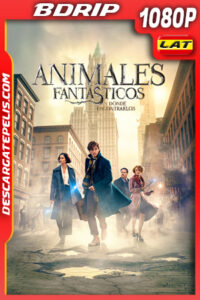 Animales fantásticos y dónde encontrarlos (2016) 1080p BDrip Latino