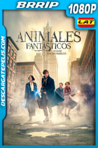 Animales fantásticos y dónde encontrarlos (2016) 1080p BRrip Latino