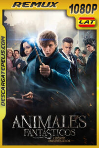 Animales fantásticos y dónde encontrarlos (2016) 1080p REMUX Latino