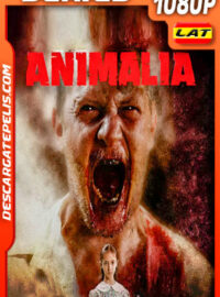 Animalia Temporada 1 (2020) 1080p WEB-DL Latino