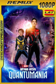 Ant-Man y la Avispa: Quantumanía (2023) 1080p REMUX Latino