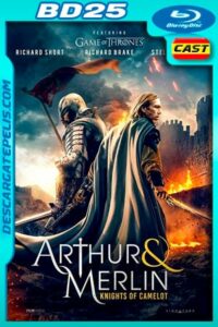 Arturo y Merlin: Caballeros de Camelot (2020) 1080p BD25 Castellano