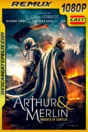 Arturo y Merlin: Caballeros de Camelot (2020) 1080p Remux Castellano
