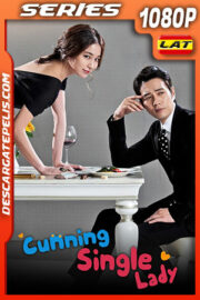 Astuta y Soltera Temporada 1 (2014) 1080p WEB-DL Latino