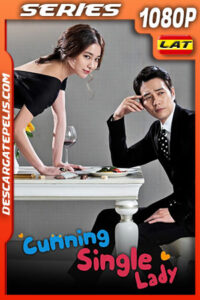 Astuta y Soltera Temporada 1 (2014) 1080p WEB-DL Latino