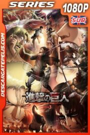 Ataque a los titanes (Shingeki no Kyojin) (2018) Temporada 3 1080p BRrip Japones