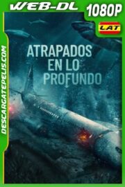 Atrapados en lo profundo (2024) 1080p WEB-DL Latino