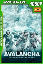 Avalancha – Desastre en la Montana (2019) 1080p WEB-DL Latino
