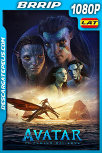Avatar: El camino del agua (2022) 1080p BRRip Latino