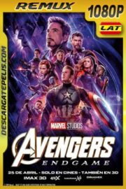 Avengers Endgame (2019) 1080p BDRemux Latino – Ingles